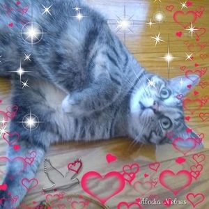 Meet your Posher, Nancy